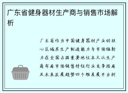 广东省健身器材生产商与销售市场解析